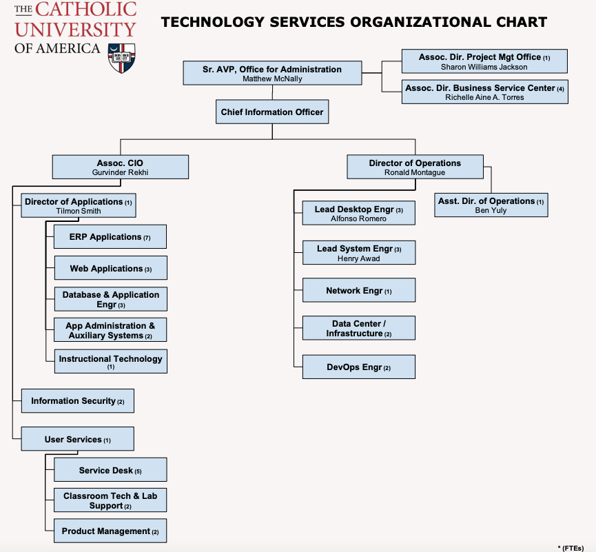 Multi-color three-layer org chart diagram showing organization of Technology Services division by services offered. The services are listed under the name of each Director level position. Among the services displayed are enterprise applications, network and system engineering, database administration, information security, and service desk.
